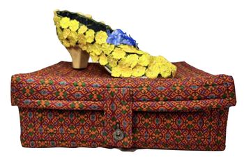 One Lost Shoe