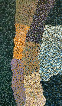 Thelma Dundan (Dunjan) Judson Ngarga (Nyarrka) / 46x76cm / Milkarra