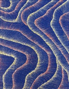 Debbie Napaljarri Brown / 76x61cm / Wanakiji Jukurrpa (Bush Tomato Dreaming)