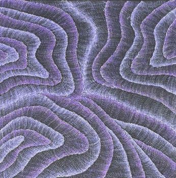 Debbie Napaljarri Brown / 91x91cm / Wanakiji Jukurrpa (Bush Tomato Dreaming)