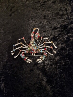 Scorpion Brooch Multicolour