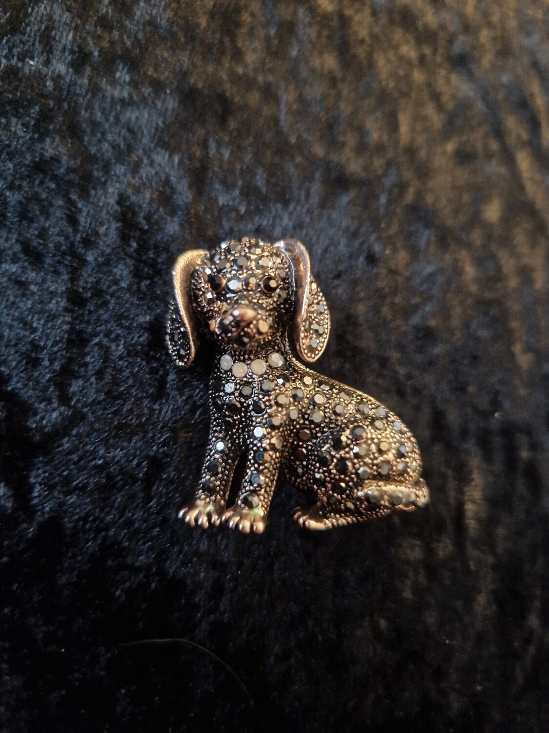 Dog Brooch With White Collar