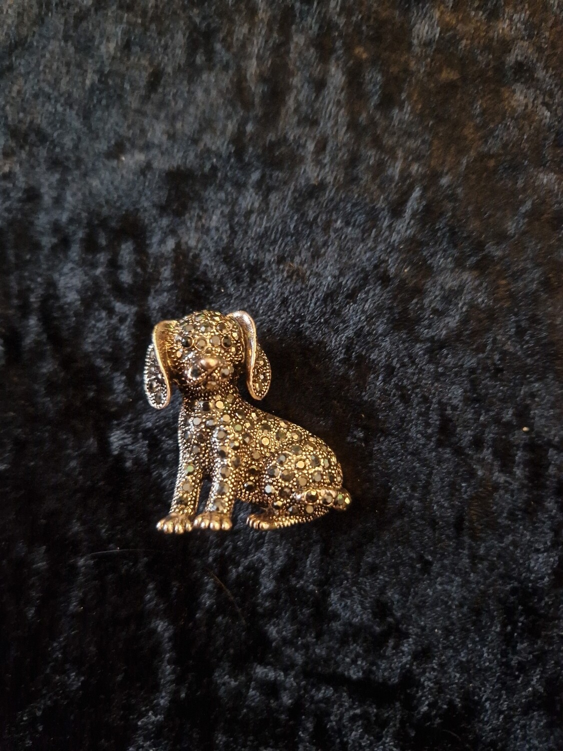 Dog Brooch With Black Collar