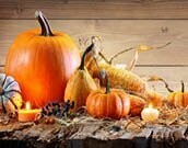 Thanksgiving