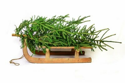 Oh Christmas Tree (Ornaments)