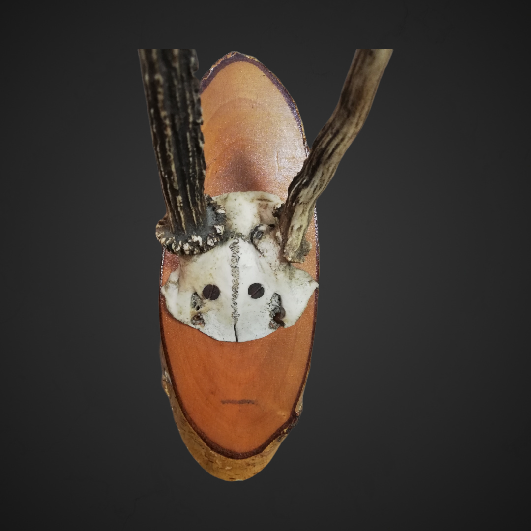 Gewei 45: 22cm