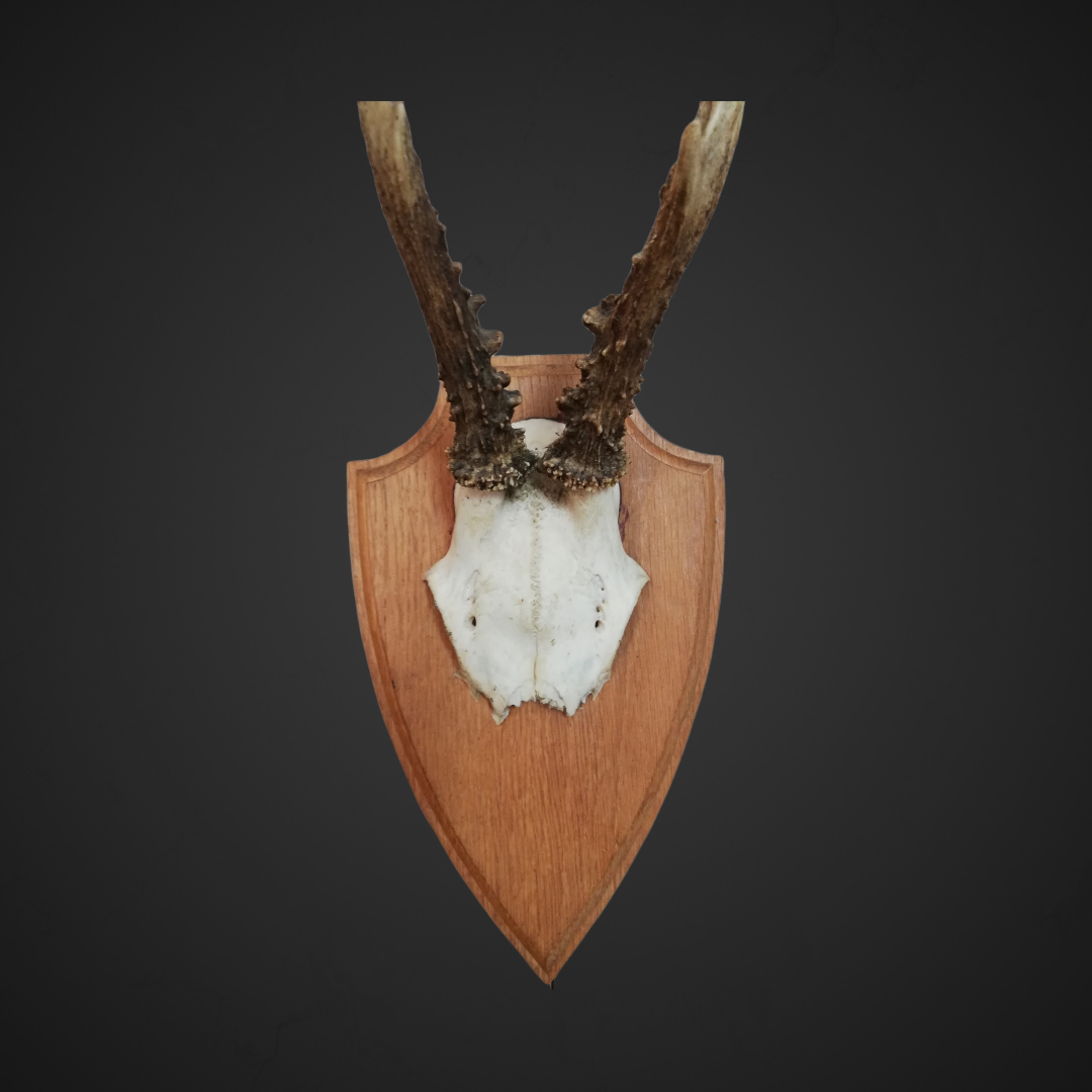 Gewei 122: 29cm