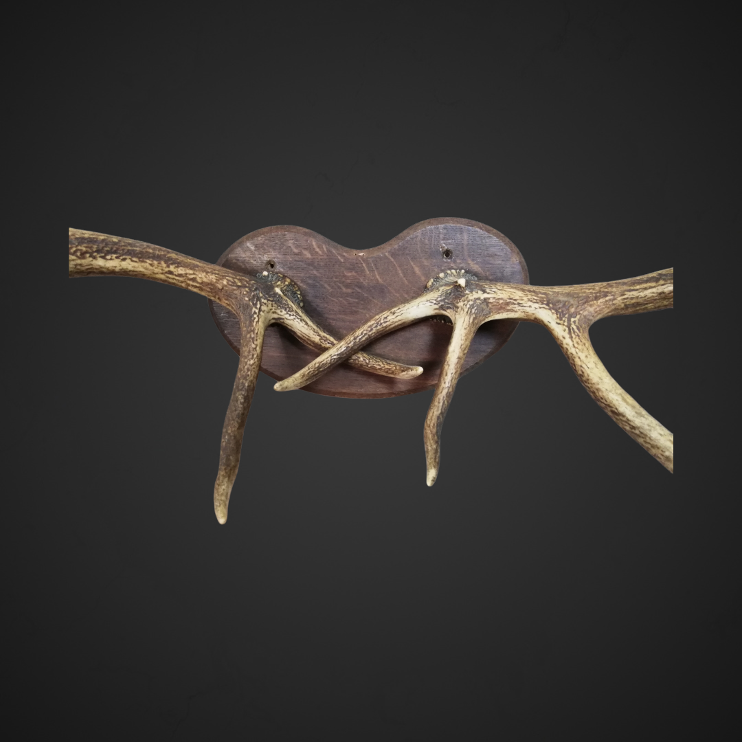 Gewei 144: 100cm breed