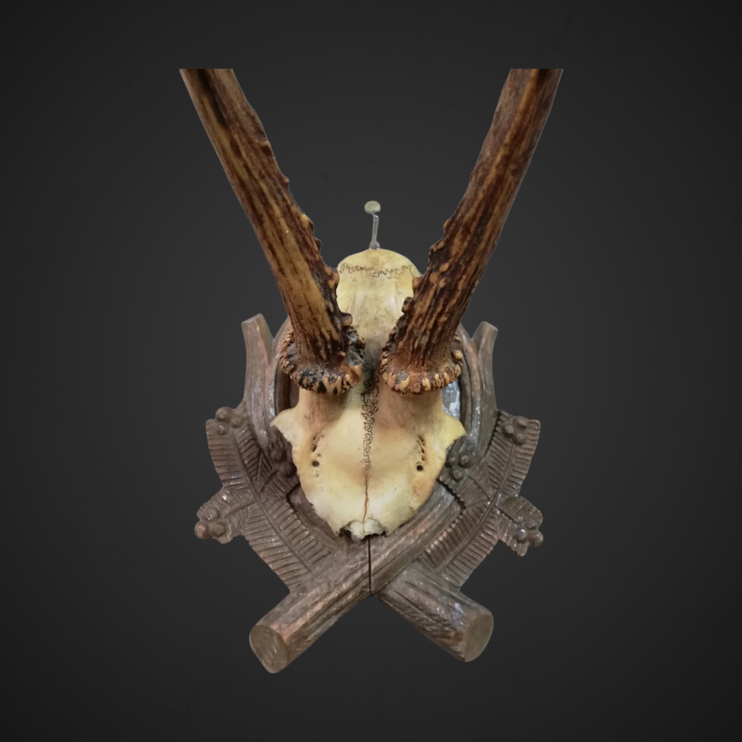 Gewei 161: 30cm