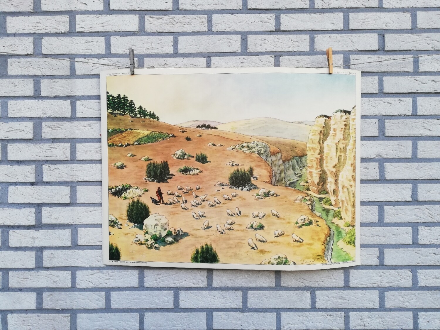 Dubbelzijdige schoolprent - terrain granitique / plateau calcaire