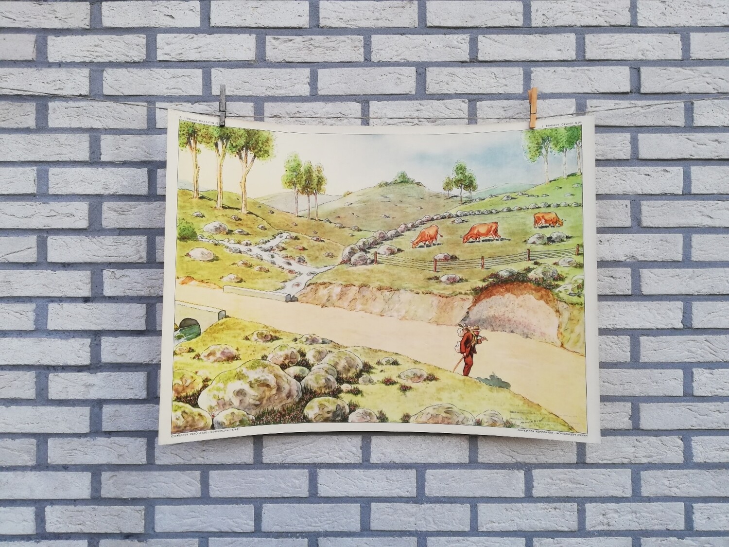 Dubbelzijdige schoolprent - terrain granitique / plateau calcaire
