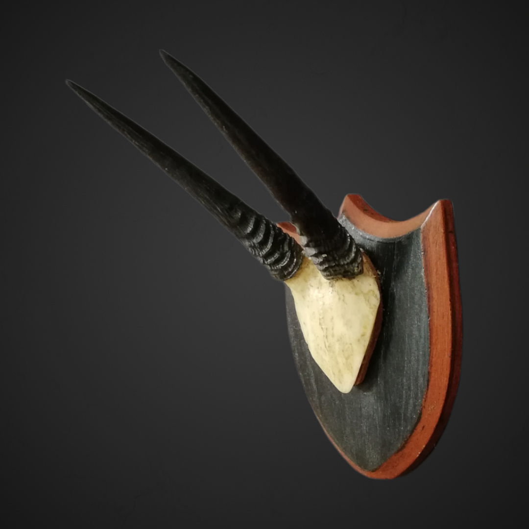 Gewei 168: 19cm antiloop