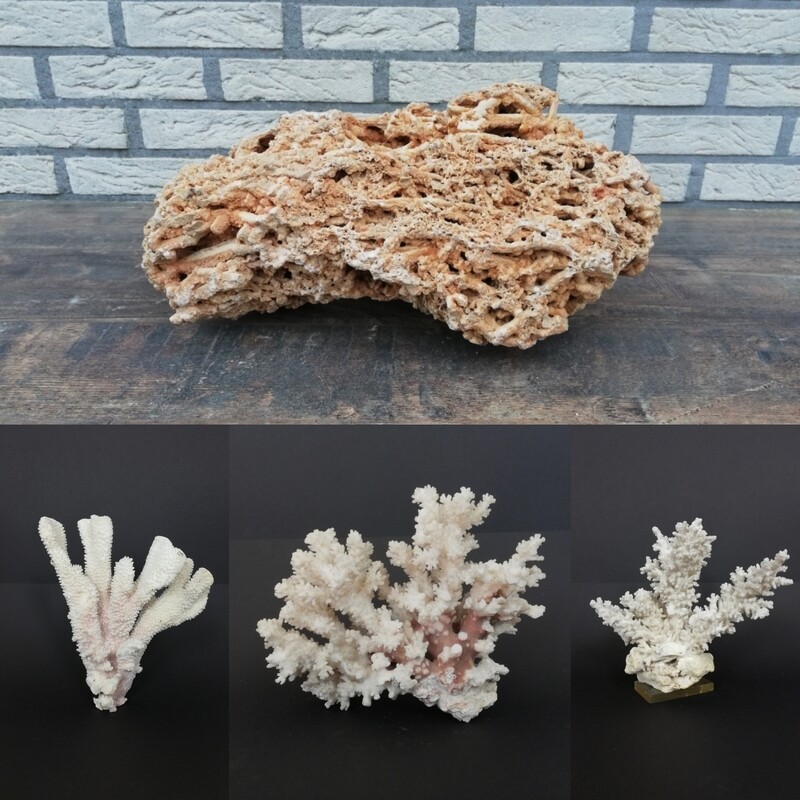 Stones &amp; corals