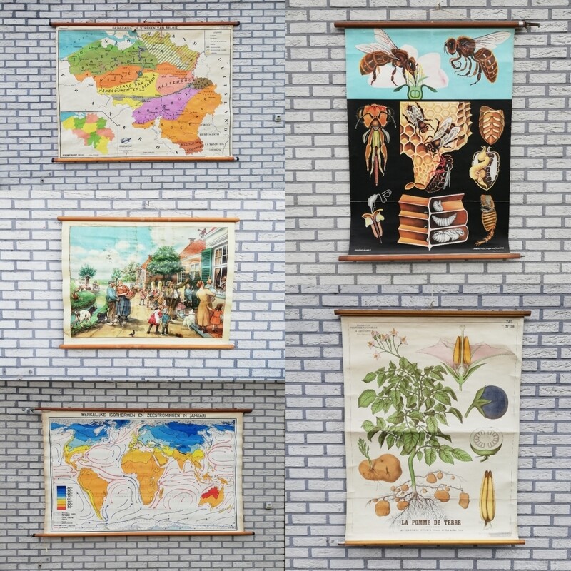 School maps and posters