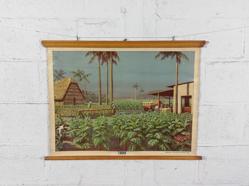 school poster - tobacco plantation