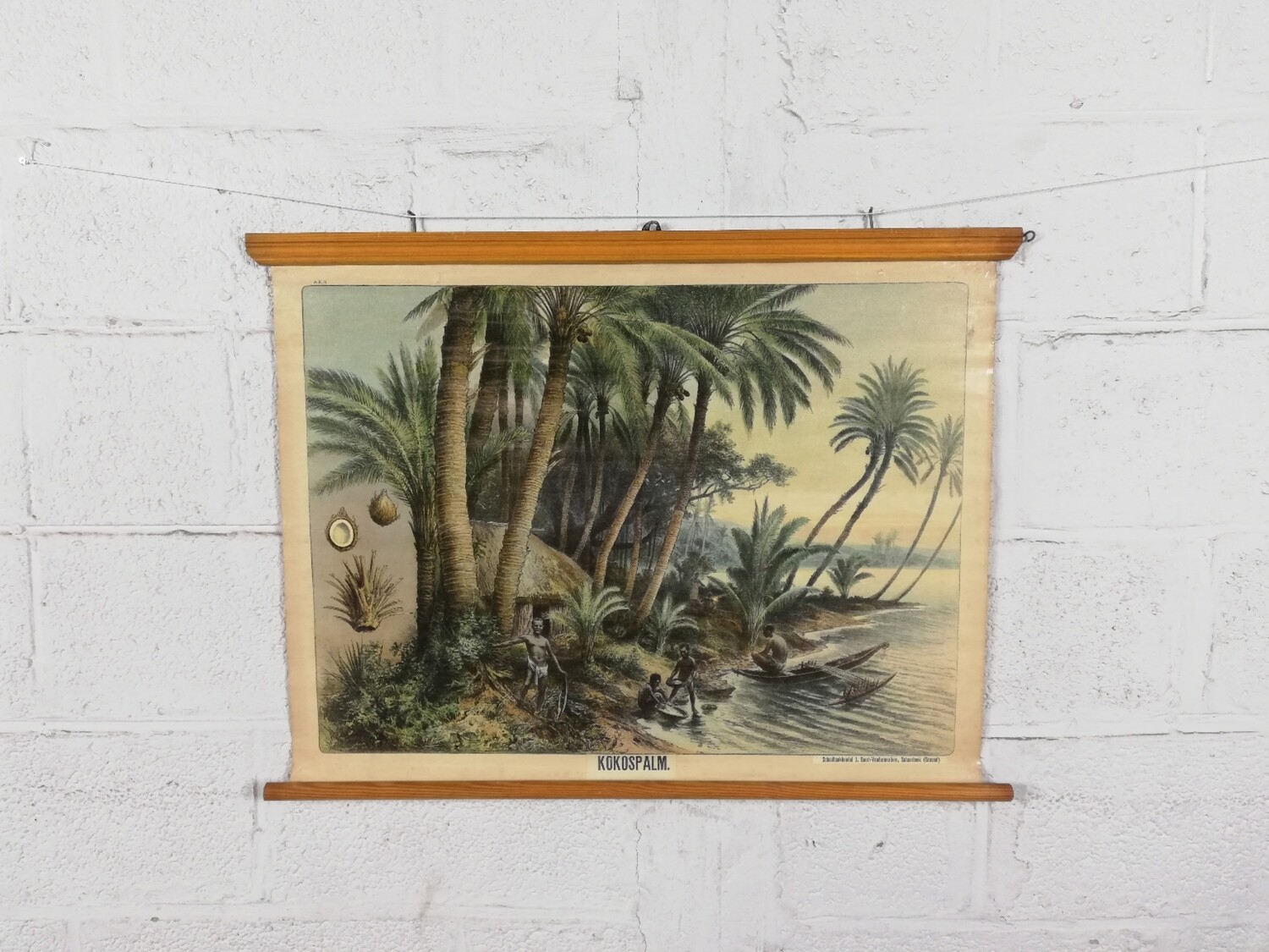 school poster - coconut palm
