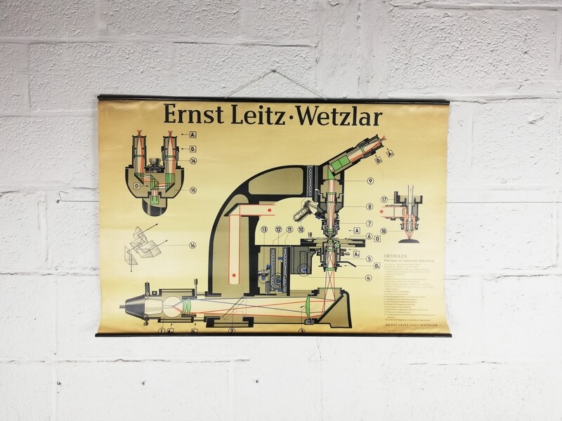Schoolplaat (DE) - microscoop Ernst Leitz Wetzlar