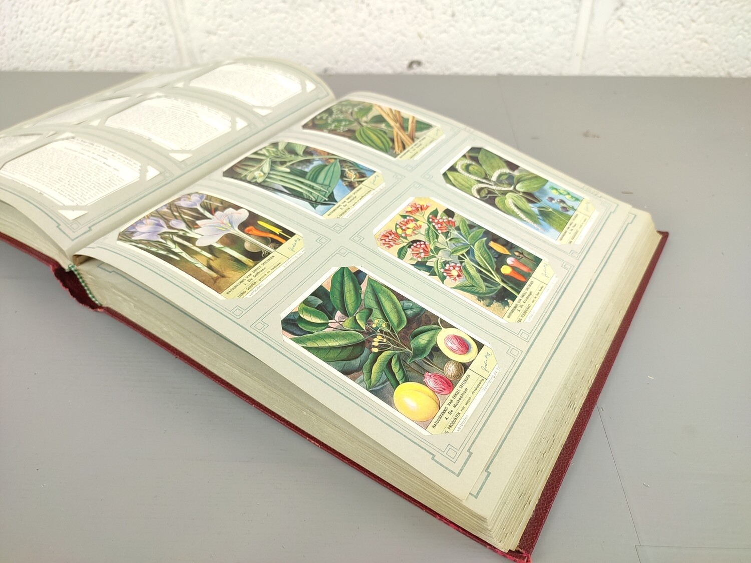 Complete Liebig chromo album