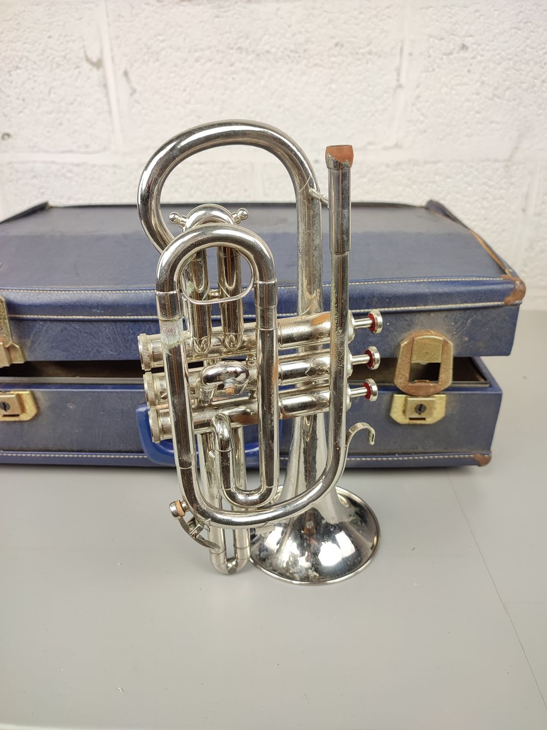 Cornet 'Bermont'