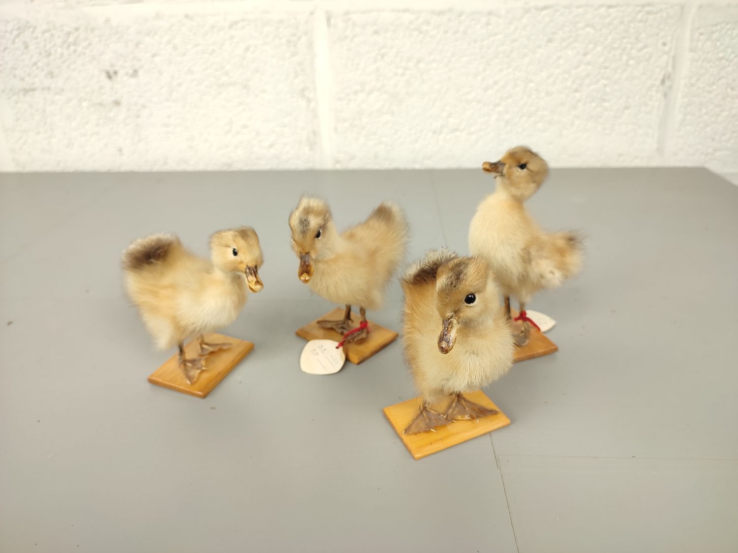 4 stuffed ducklings