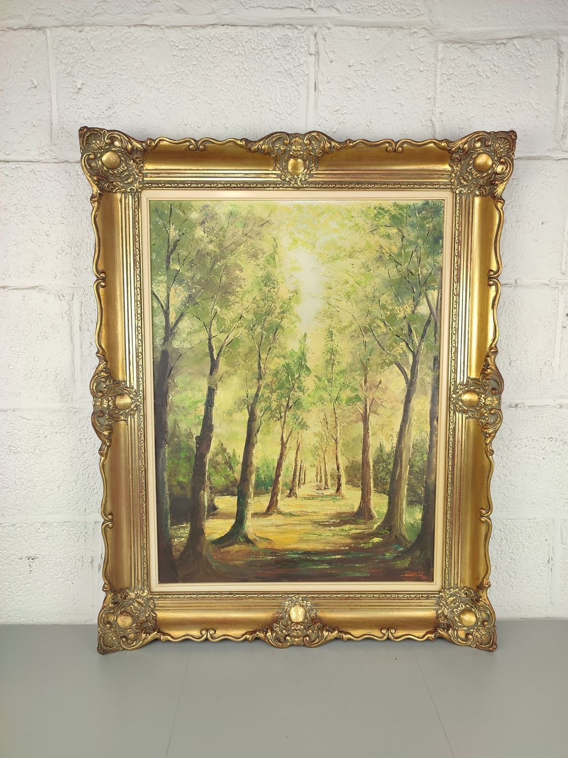 Rappelet - forest landscape - 1969