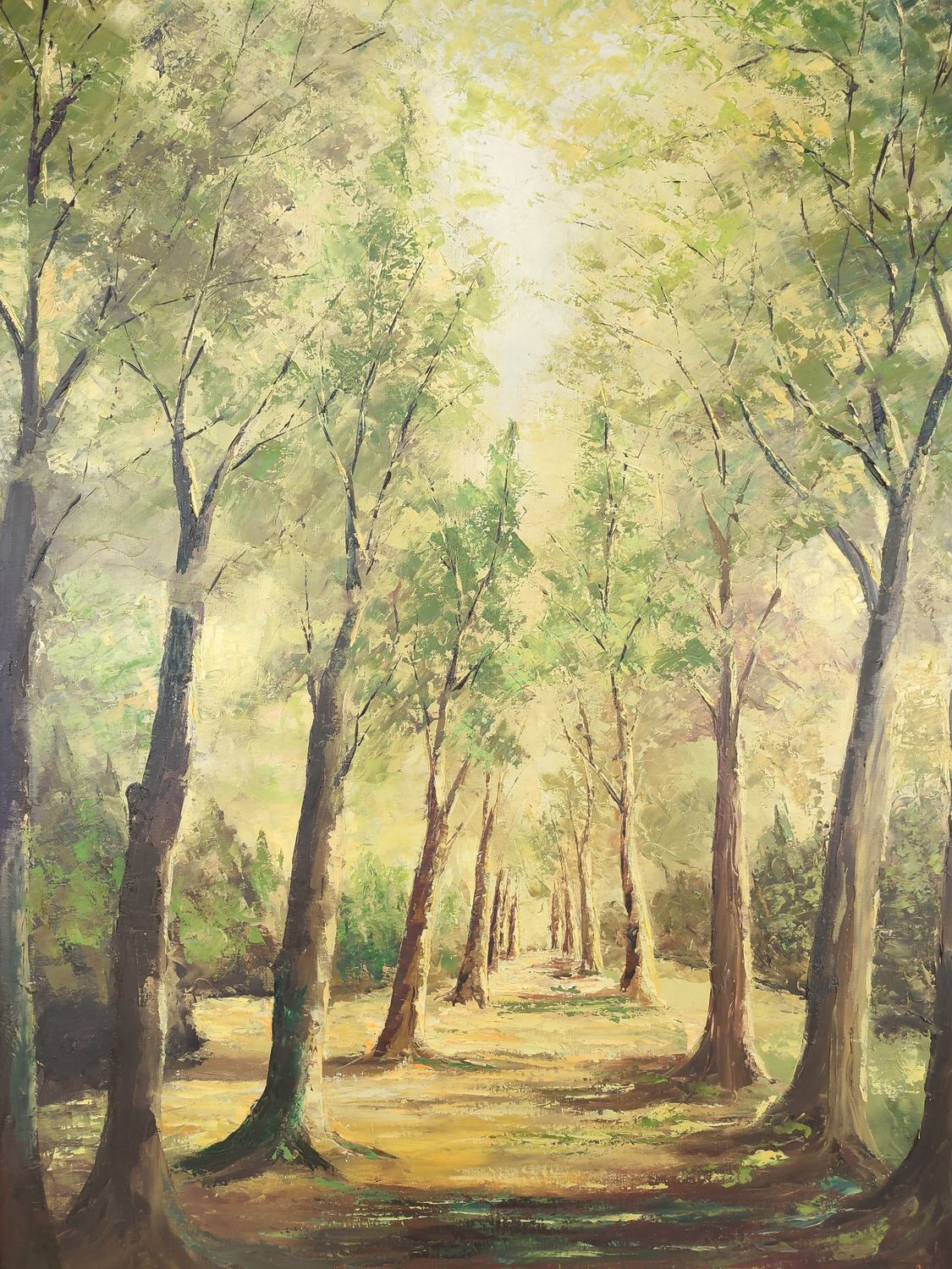 Rappelet - forest landscape - 1969