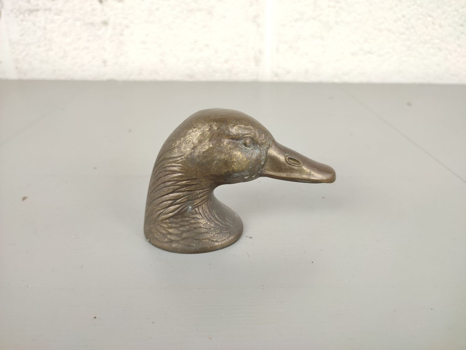 Duck head bottle opener Anser Paris