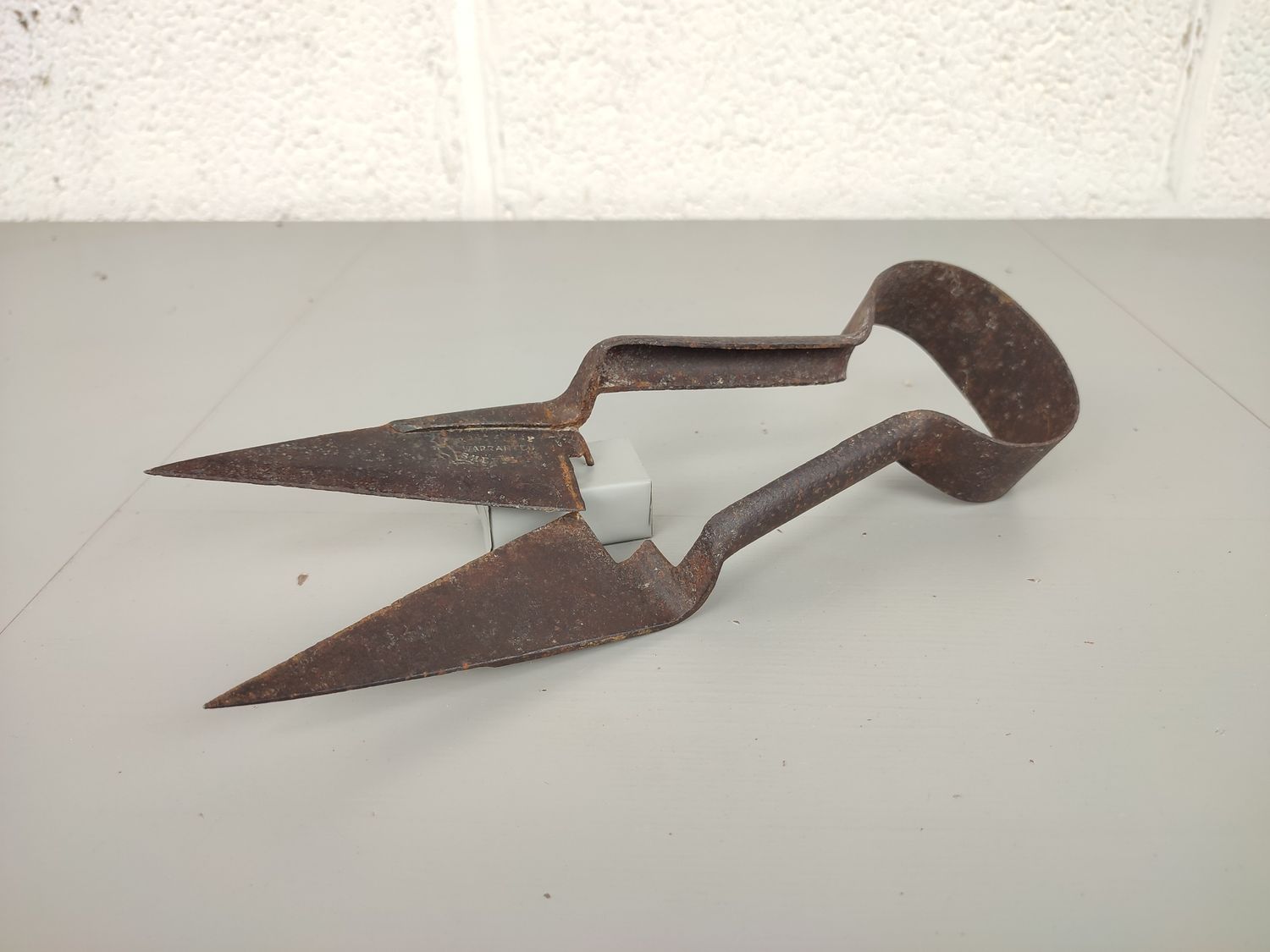Antique sheep scissors