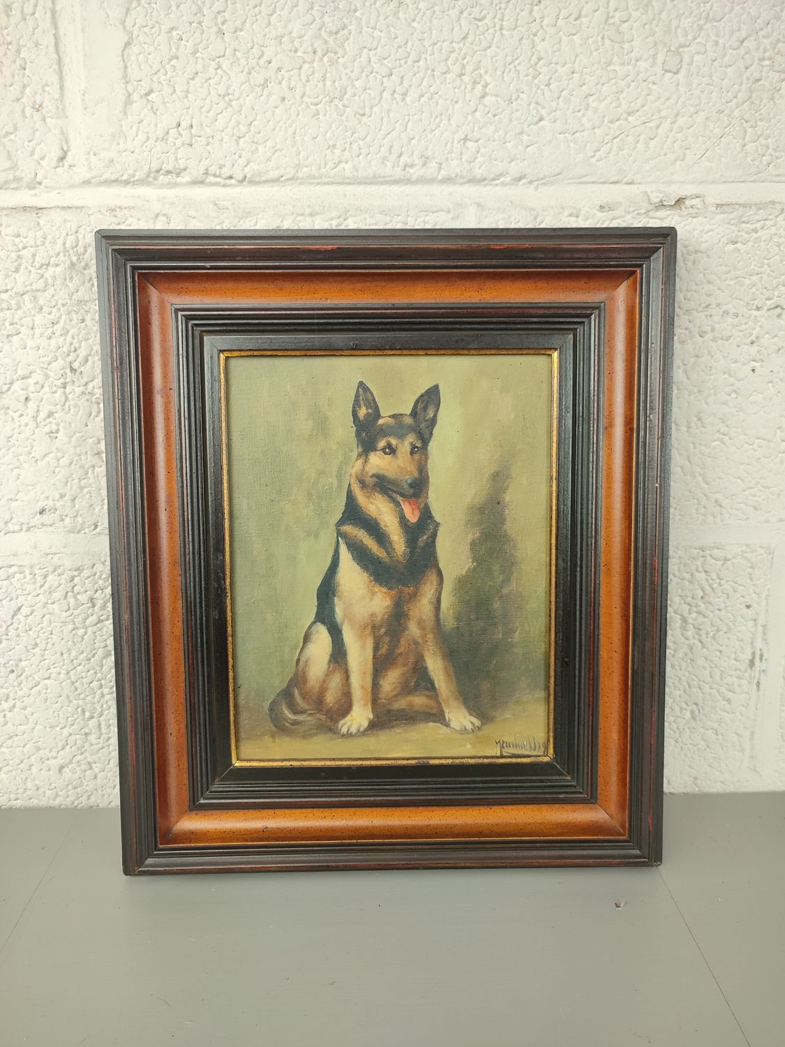 Meurisse Willy - German shepherd