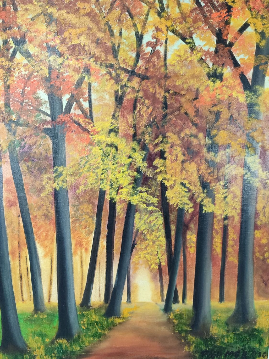 P Van der Meersch - forest road