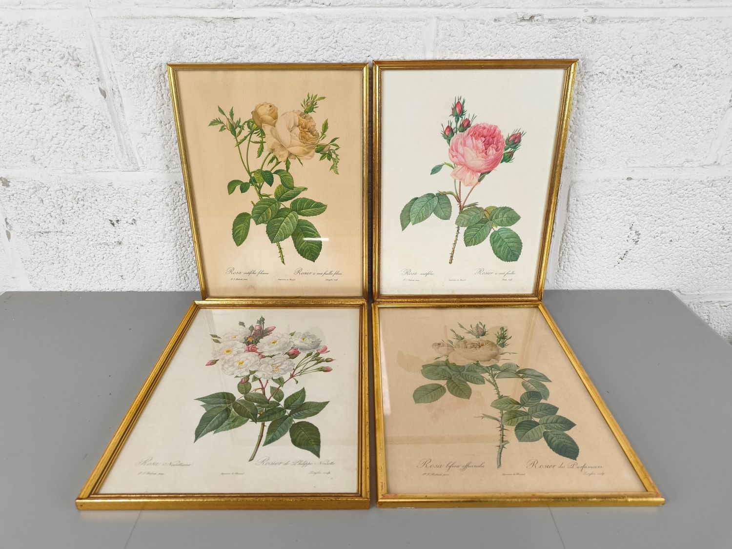 4 frames with botanical prints