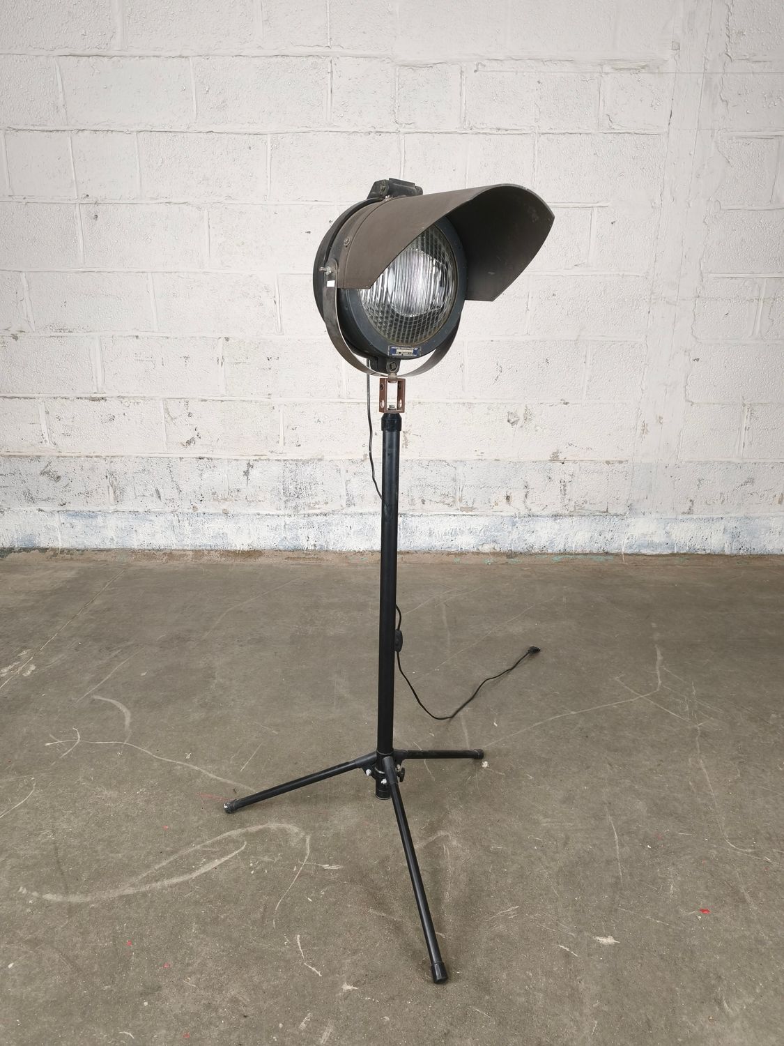 Industrial floor lamp with spot