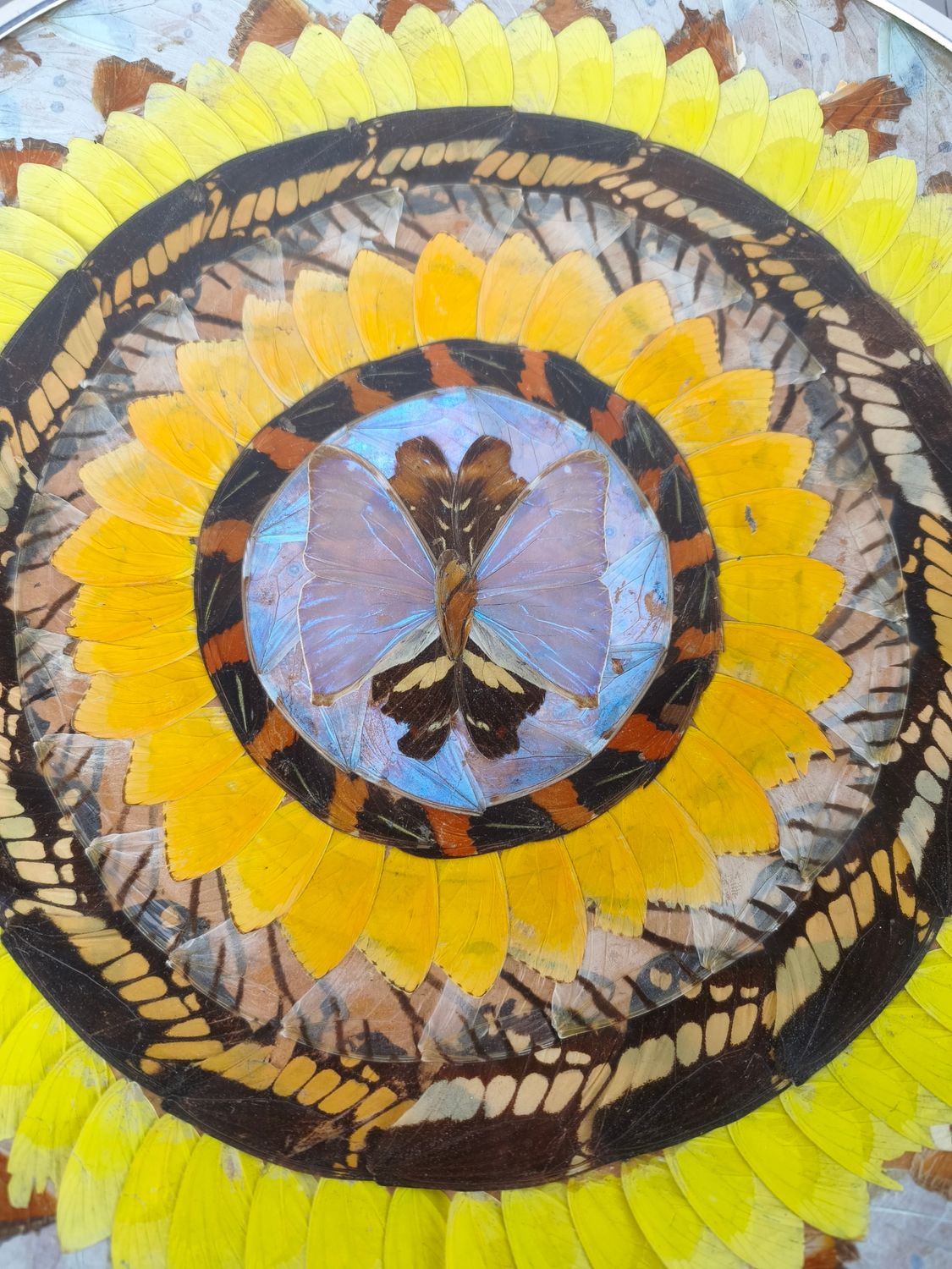 Vintage wall decoration with butterflies