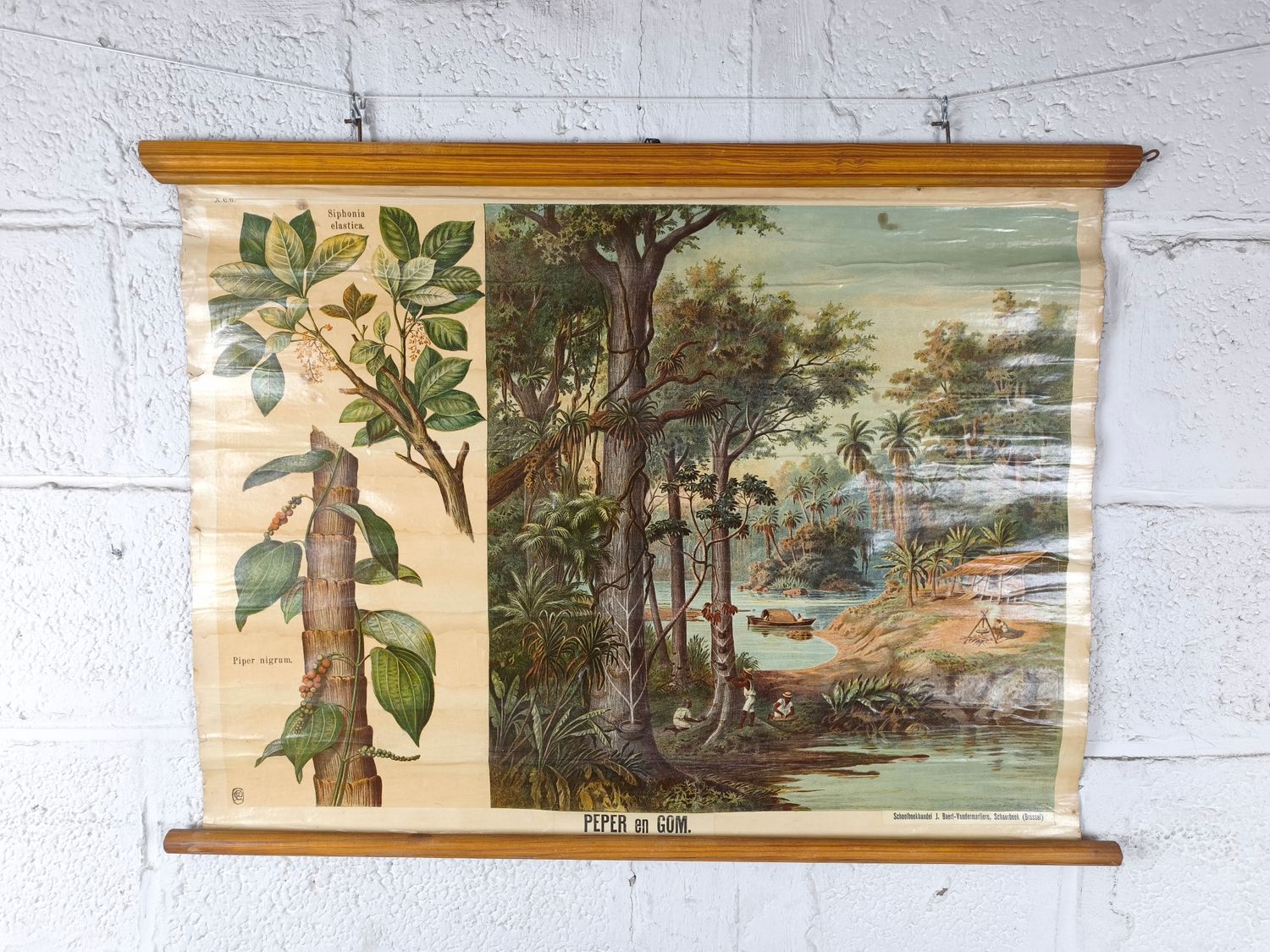 School poster pepper and gum