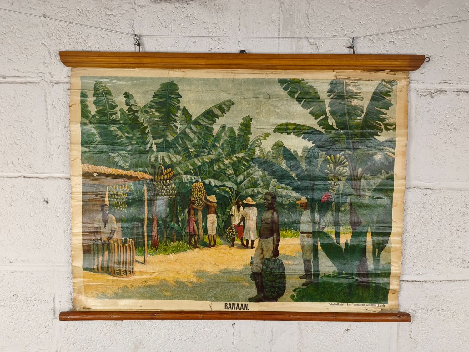 School poster banana