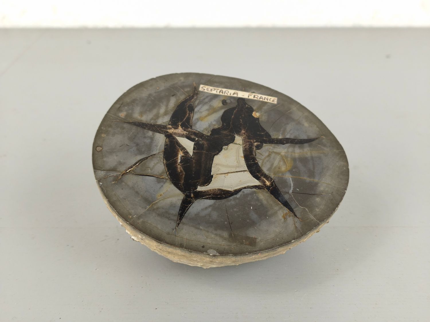 Septaria stone