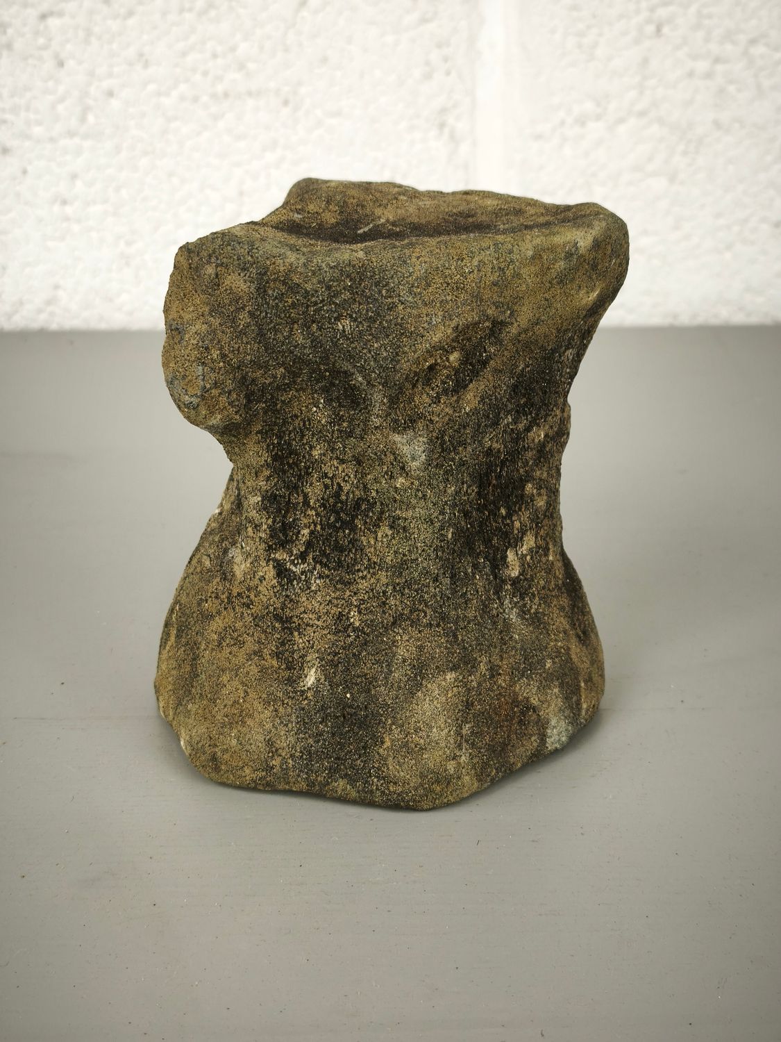 Fossilized whale vertebra
