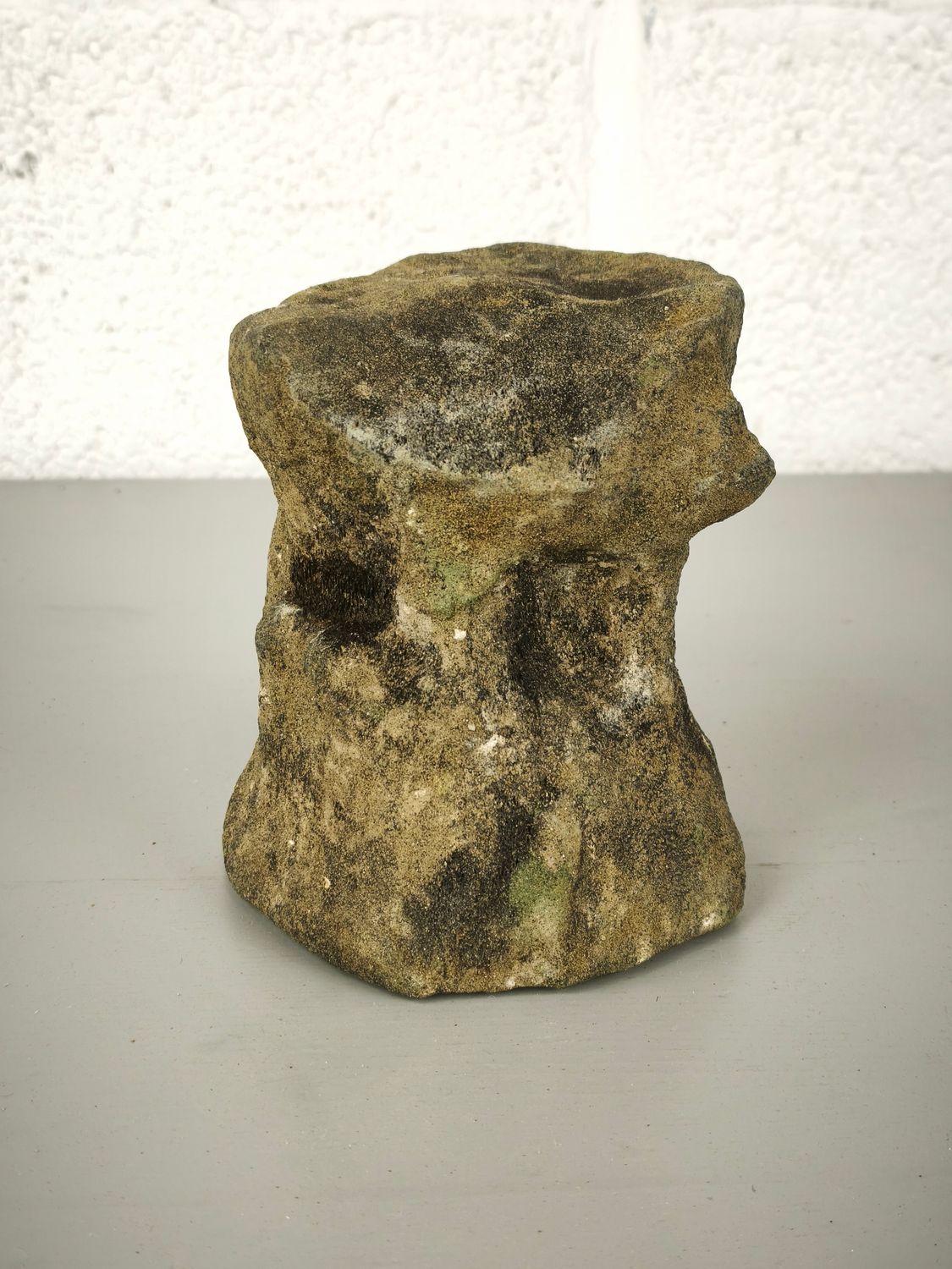 Fossilized whale vertebra