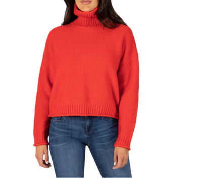 Red Hailey Turtleneck