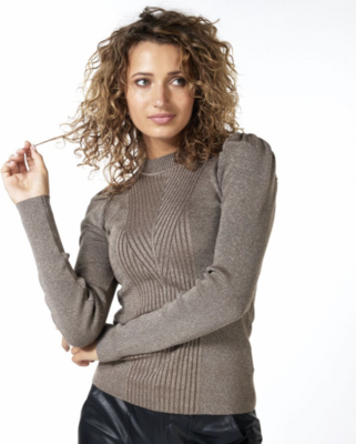 Olive Sparkle Sweater Top