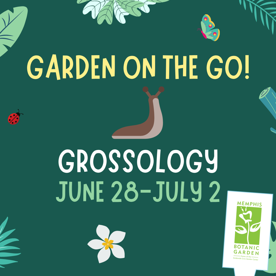 Garden on the Go June 28-July 2: Grossology