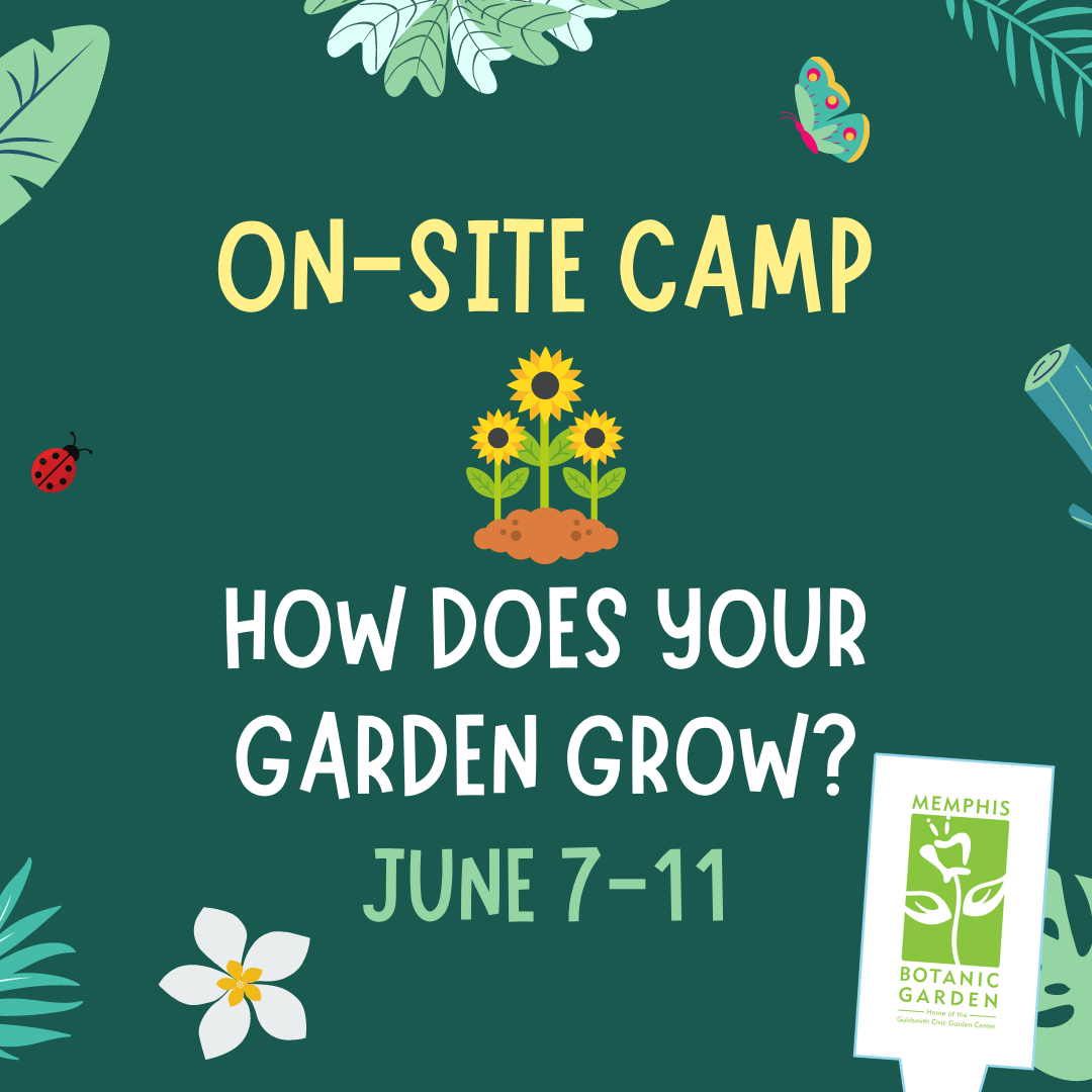 On-Site Camp June 7-11: How Does Your Garden Grow?