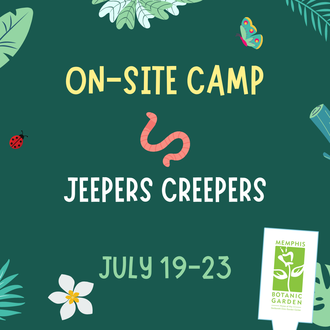 On-Site Camp July 19-23: Jeepers Creepers