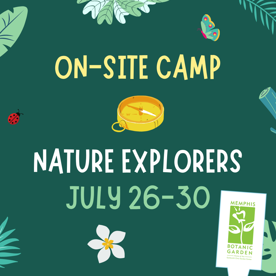 On-Site Camp July 26-30: Nature Explorers
