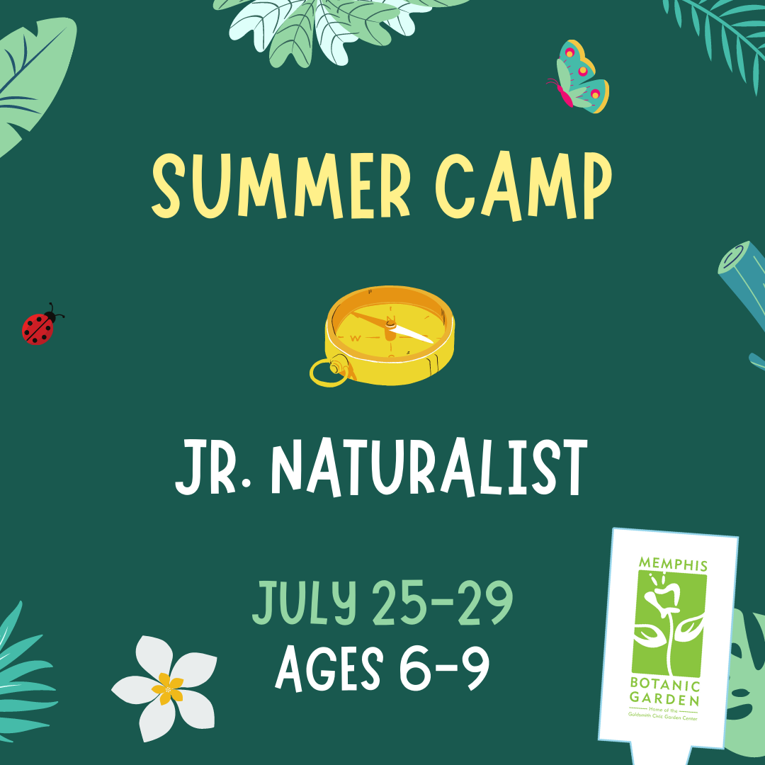 Summer Camp - Jr. Naturalist July 25-29