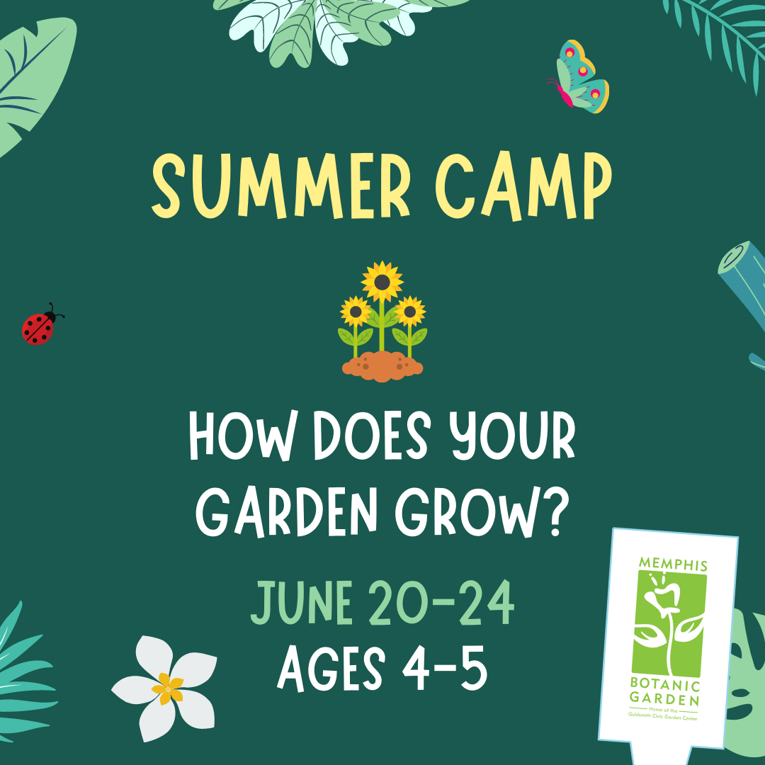 Summer Camp - How Does Your Garden Grow?