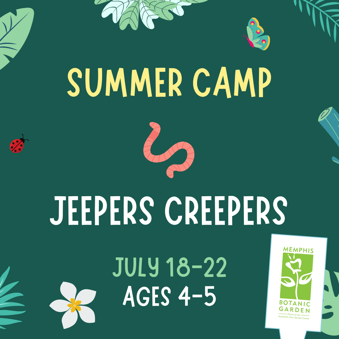 Summer Camp - Jeepers Creepers July 18-22