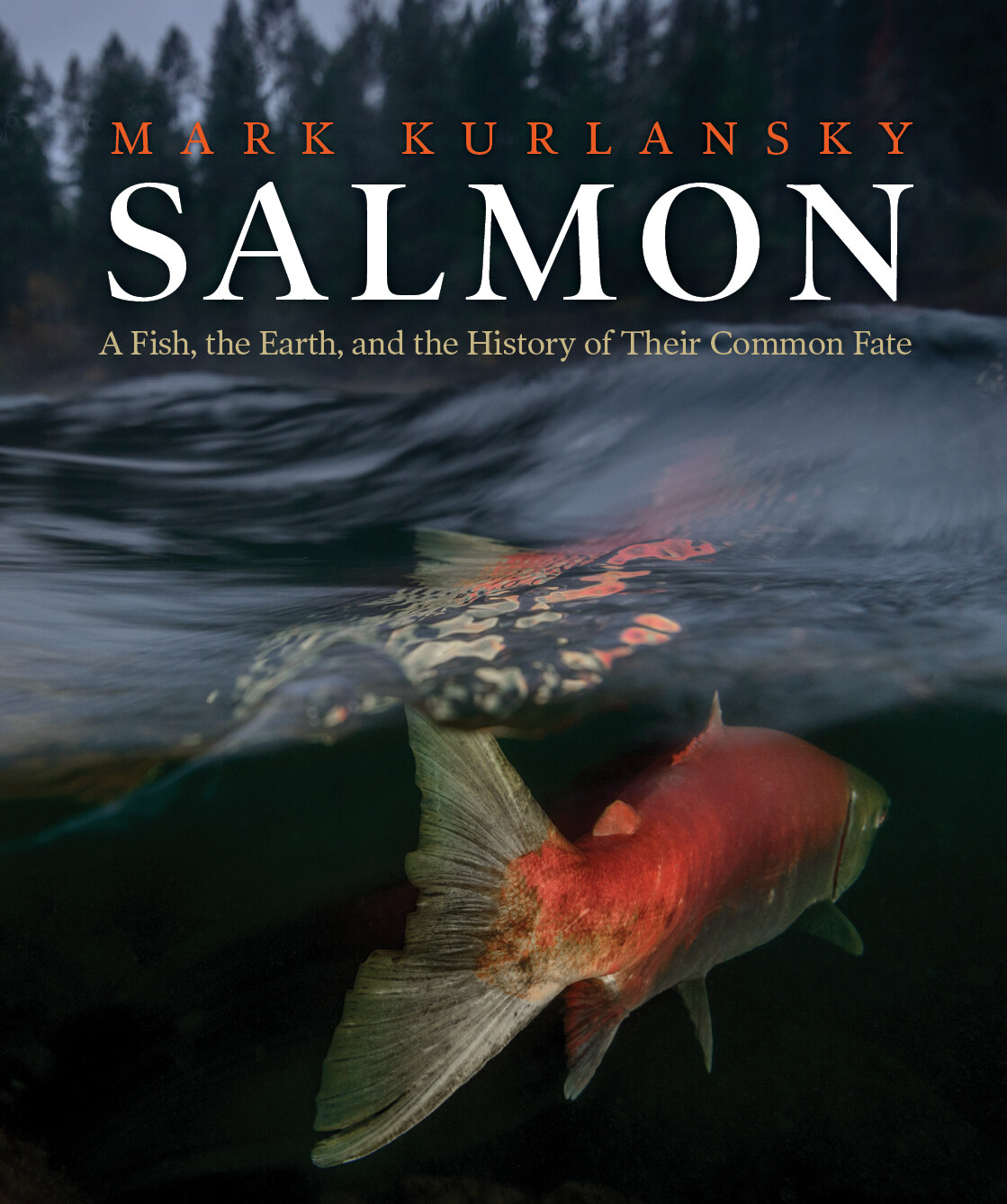Salmon – Mark Kurlansky