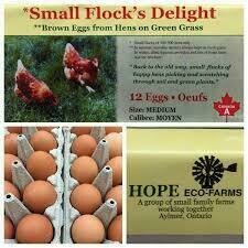 Small Flock Eggs