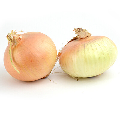 Sweet Onions (LB)